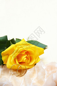 黄色玫瑰和结婚戒指带有复制空间的婚图片