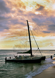 在夏威夷的帆船显图片