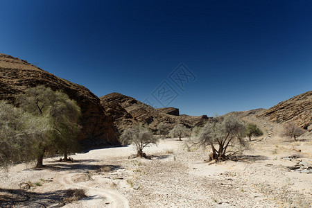 非洲纳米比亚纳米布沙漠Kuiseb图片