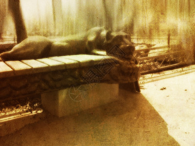 石膏豹装饰长凳复古背景图片