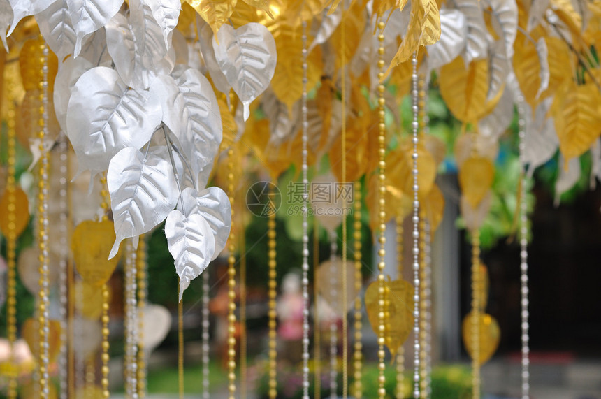 金银菩提树传统图片