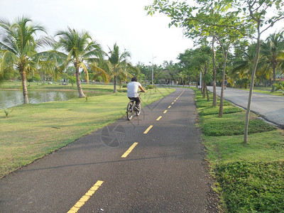公园里的自行车道背景图片