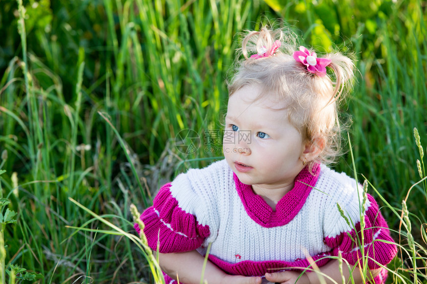 草地上草地上小女孩的画像图片