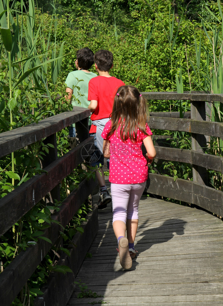 三位年轻的兄弟走在自然公园池塘中间的图片
