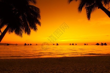 日落时在热带海边的帆船海滩上的棕图片