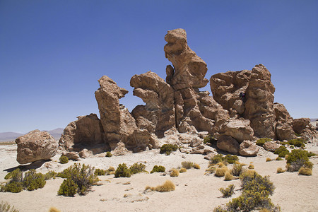 在Uyuni沙漠由风制造的图片