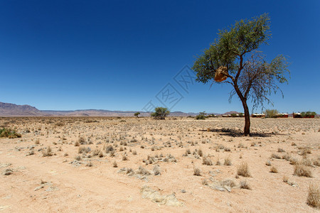非洲纳米比亚纳米布沙漠Soussusvlei的Sossusv图片