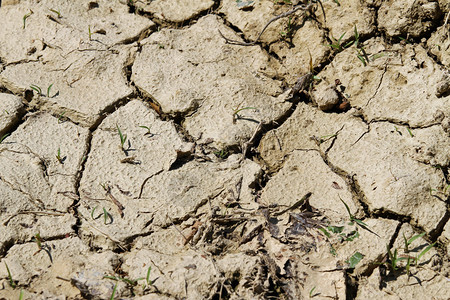 国内干旱期间没有水的干图片