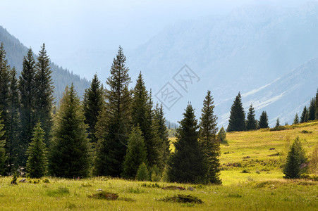 哈萨克斯坦DzungarianAlataau山上科拉图片