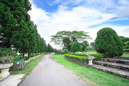 泰国清莱的花园图片