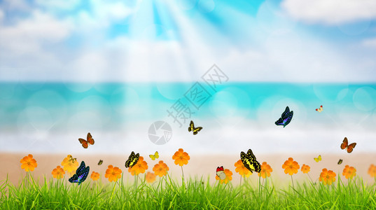 春青新绿草有蝴蝶和花朵在沙图片