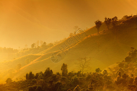泰国南山的日落图片