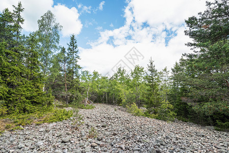 瑞典森林中含有圆石块状花岗岩的boulderboulderridge图片