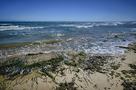 南部沙质海岸线图片