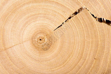 木质纹理木质背景图片