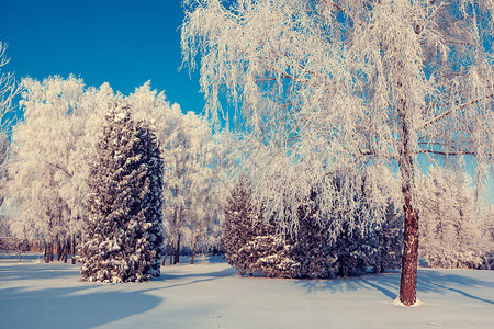 美丽的冬天景色乌克兰欧图片
