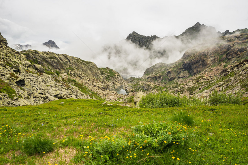 高海拔的绿色高山景观图片