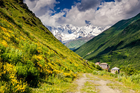 哈尔德村上斯瓦涅蒂格鲁吉亚欧洲高加索山脉美图片