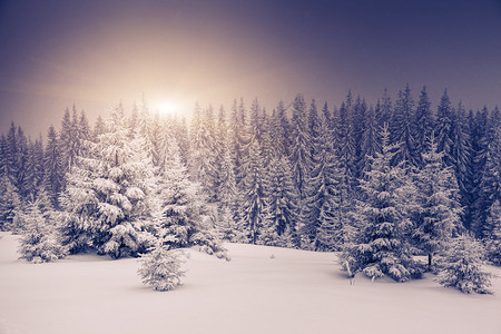 美丽的冬天景色图片