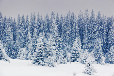 美丽的冬天景色图片