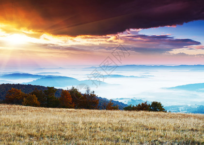 美妙的早晨山风景阴天多彩的天空喀尔巴阡图片