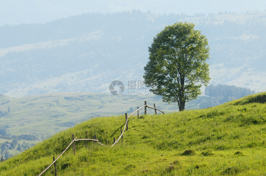 夏天风景与栅栏和山上的一棵孤树山村图片