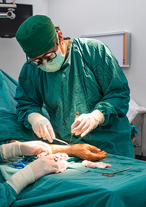 手术外科手术动血管瘘长期透析用于结束图片