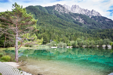 Jasna湖是斯洛文尼亚Vri过道附近的朱利安阿尔卑斯图片