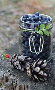 新鲜蓝莓背景图片