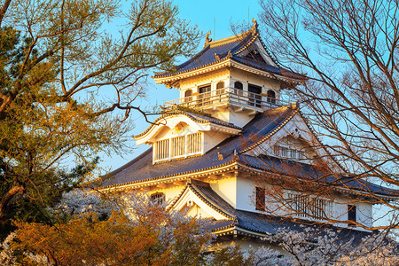 长滨本志贺县背景