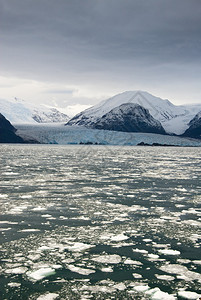 智利南巴塔哥尼亚阿玛利亚冰川贼鸥冰川贝尔纳多奥希高清图片