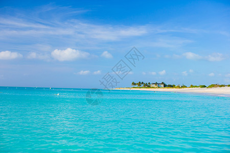 加勒比海碧绿海水的完美海滩图片