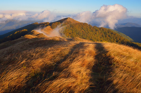 清晨秋天的风景通往山区的道路草地上的阳光喀尔巴阡山脉图片