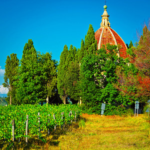 Chianti地区教堂和葡萄园图片