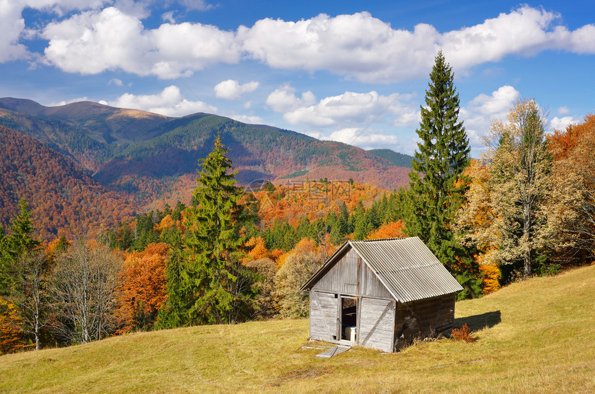 山丘的秋天风景阳光日山林中的木子小屋喀尔巴阡山脉图片