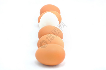 排鸡蛋和白底鸡蛋的区别图片