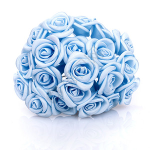 白色背景上的蓝色玫瑰图片