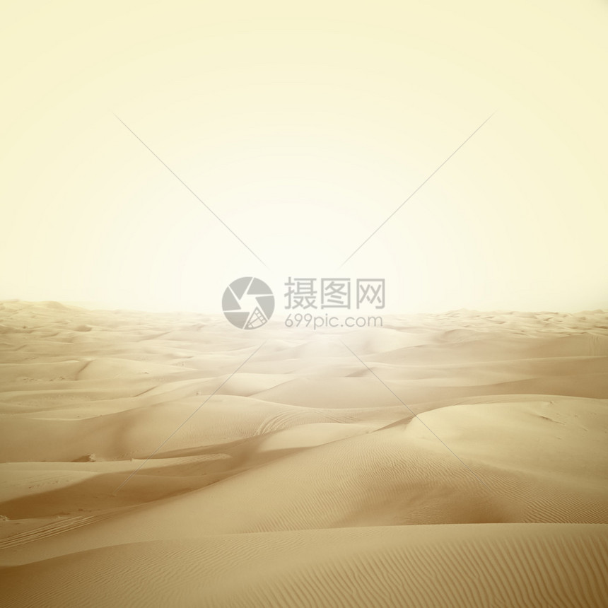 景观沙漠中的沙丘图片