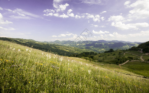罗马尼亚的夏季农村图片
