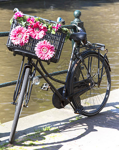 在荷兰的自行车在停车场图片