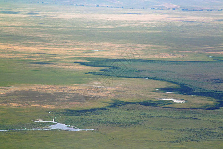坦桑尼亚Ngorongoro火山口的景象图片