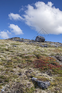 位于加拿大育空地区的荒原山顶附近的落岩地形图片