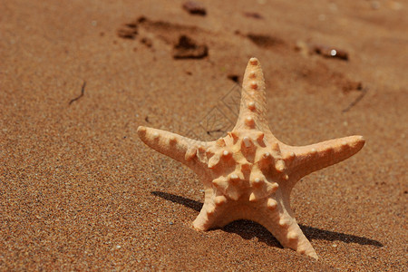 东克里米亚黑海上空沙底海面星近离图片