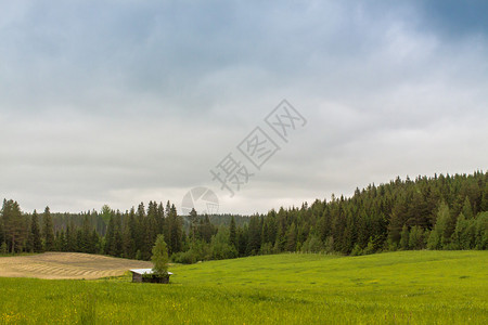 为位于芬兰中部田地中间的干草提供一处小避难所图片