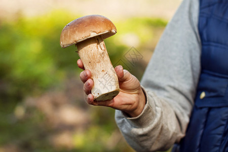 女孩手中的蘑菇图片