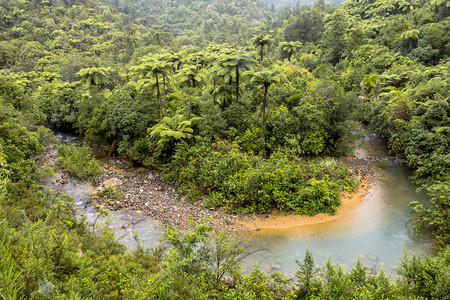北新西兰雨林河的米德山Me图片