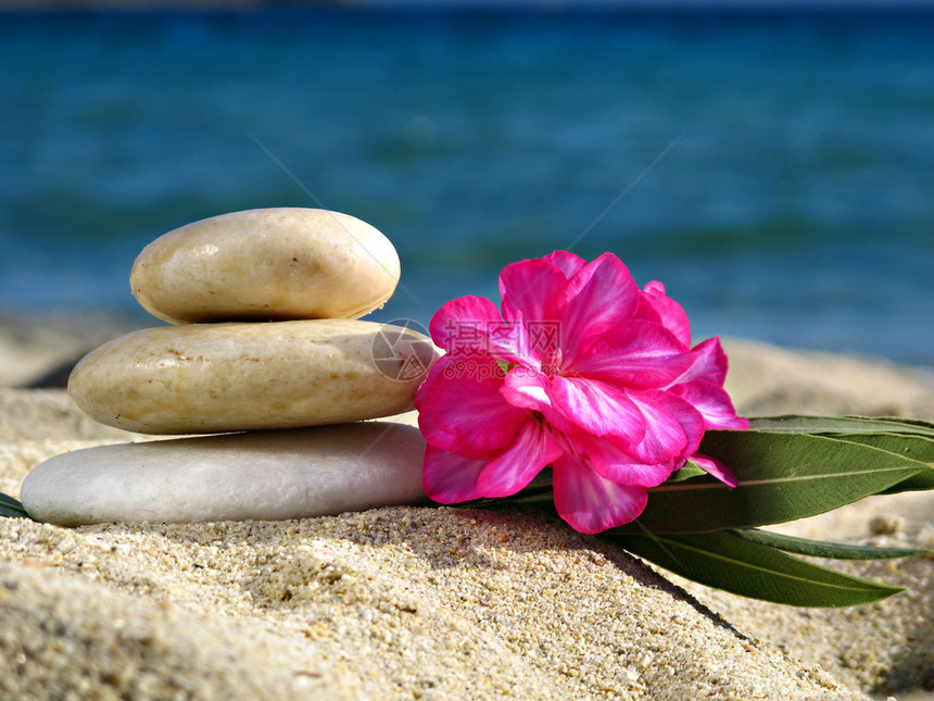 沙滩上带花的禅石图片
