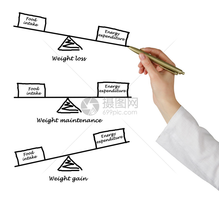 能源摄入量与能源支出之图片