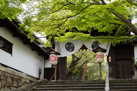 知恩寺北门图片