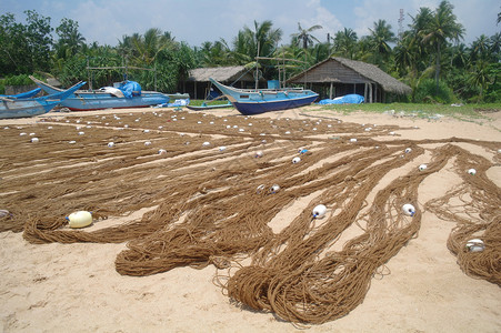 斯里兰卡印度洋沿岸的渔村和渔网17图片